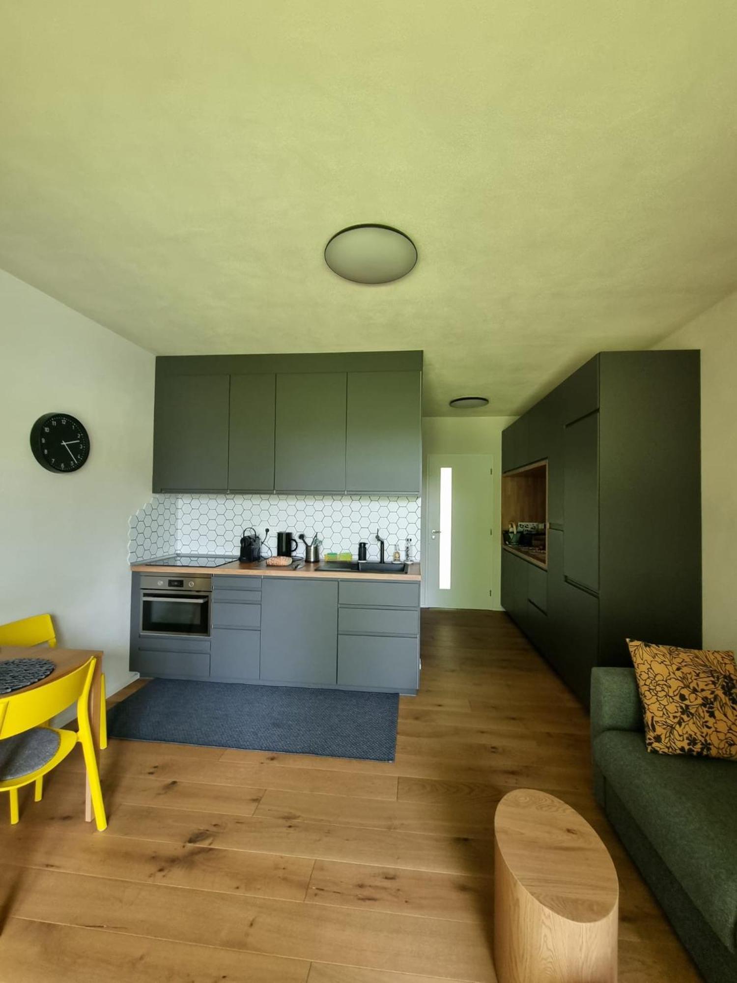 Apartman Berg Brcalnik Železná Ruda Exterior foto
